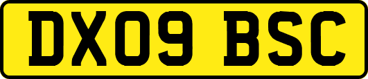 DX09BSC