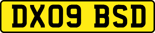 DX09BSD