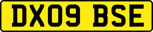 DX09BSE