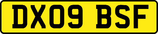 DX09BSF