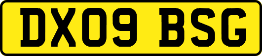 DX09BSG