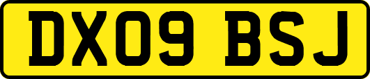DX09BSJ