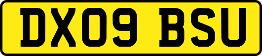 DX09BSU