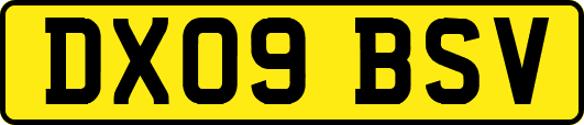 DX09BSV