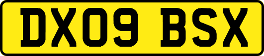 DX09BSX