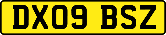 DX09BSZ