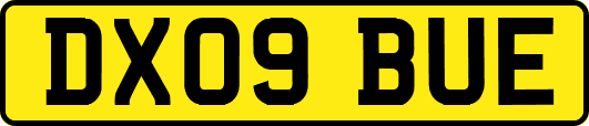 DX09BUE
