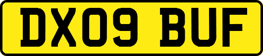 DX09BUF