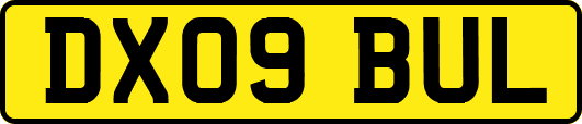 DX09BUL
