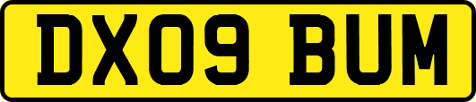DX09BUM