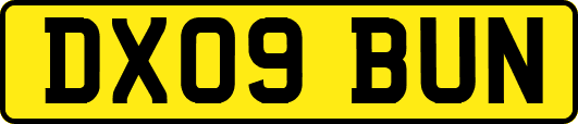 DX09BUN