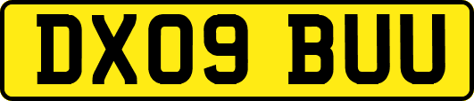 DX09BUU
