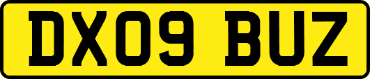 DX09BUZ