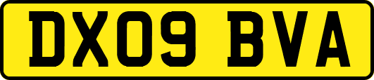 DX09BVA