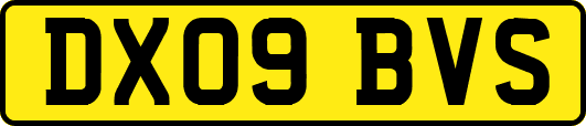 DX09BVS