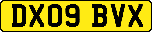 DX09BVX