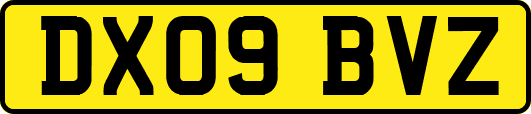 DX09BVZ