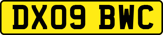 DX09BWC