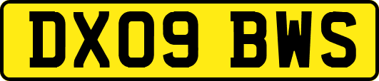 DX09BWS