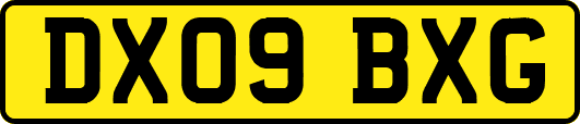 DX09BXG