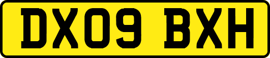 DX09BXH