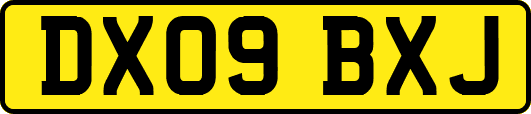 DX09BXJ