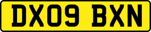 DX09BXN