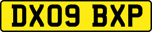 DX09BXP