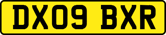 DX09BXR