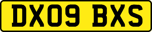 DX09BXS