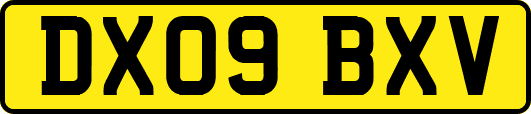 DX09BXV
