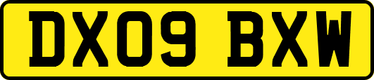 DX09BXW