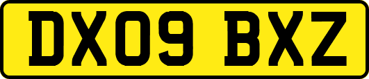DX09BXZ
