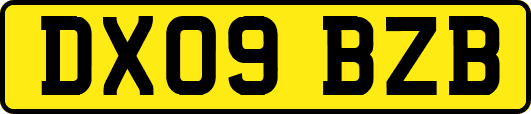 DX09BZB