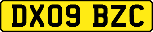 DX09BZC