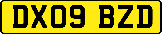 DX09BZD