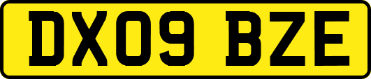 DX09BZE