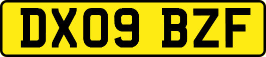 DX09BZF