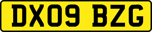 DX09BZG