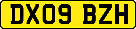DX09BZH