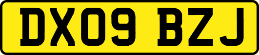 DX09BZJ