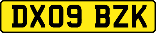DX09BZK