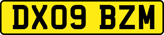 DX09BZM