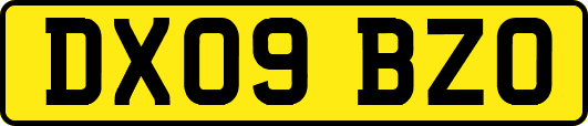 DX09BZO