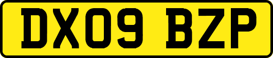 DX09BZP