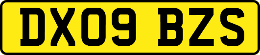DX09BZS