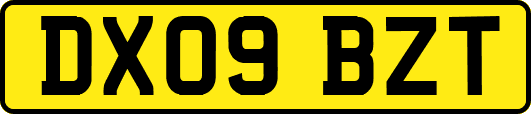 DX09BZT