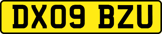 DX09BZU