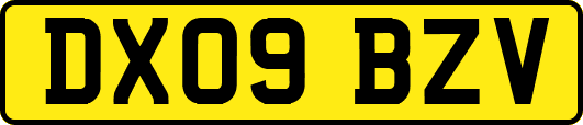 DX09BZV