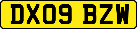 DX09BZW
